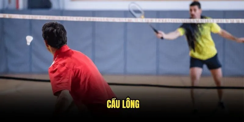 Cầu Lông Thể Thao Vua - Cơ Hội Vàng Từ Kèo Nhà Cái 1 Cầu lông