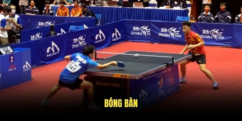 Bóng Bàn Tốc Độ - Cá Cược Thú Vị Với Kèo Nhà Cái 1 Bóng bàn
