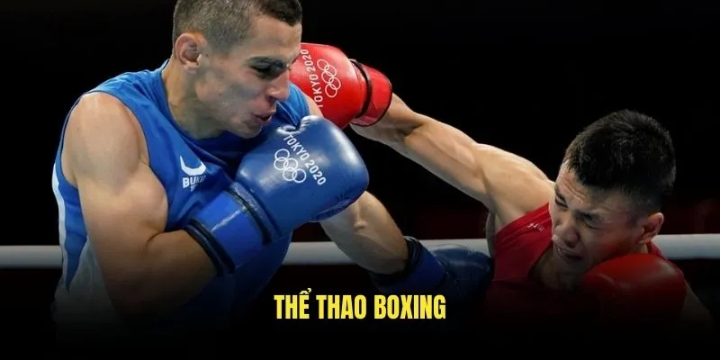 Thể thao boxing