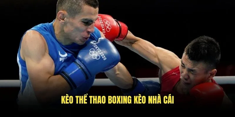 Thể Thao Boxing Quyền Anh - Trải Nghiệm Cược Đỉnh Cao Với Kèo Nhà Cái 3 Kèo Thể Thao Boxing Kèo Nhà Cái