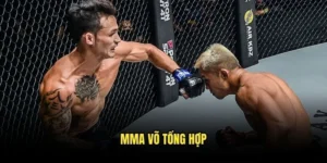 MMA võ tổng hợp