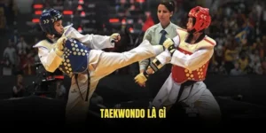 Taekwondo là gì