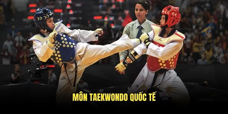 Taekwondo Là Gì? Khám Phá Cơ Hội Cược Tại Kèo Nhà Cái 2 Môn Taekwondo Quốc Tế