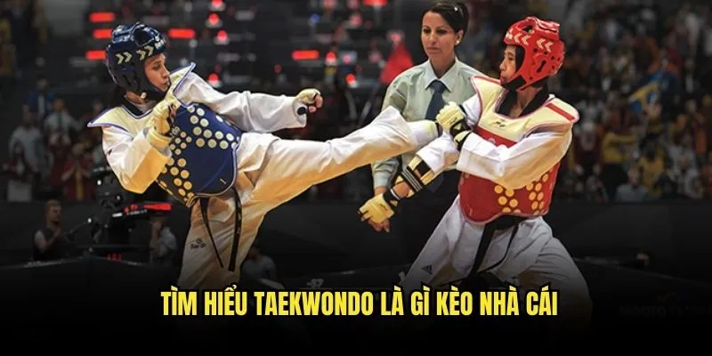 Taekwondo Là Gì? Khám Phá Cơ Hội Cược Tại Kèo Nhà Cái 3 Tìm Hiểu Taekwondo Là Gì Kèo Nhà Cái