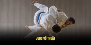 Judo võ thuật