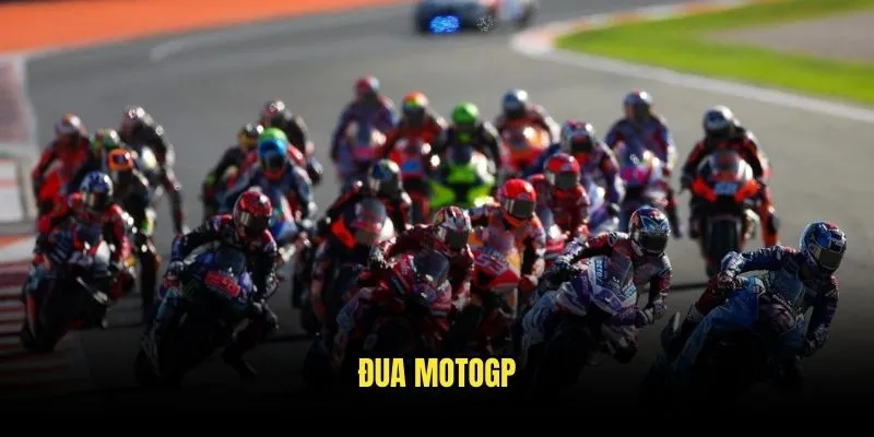 Đua MotoGP Kịch Tính - Cơ Hội Vàng Từ Kèo Nhà Cái 1 Đua MotoGP