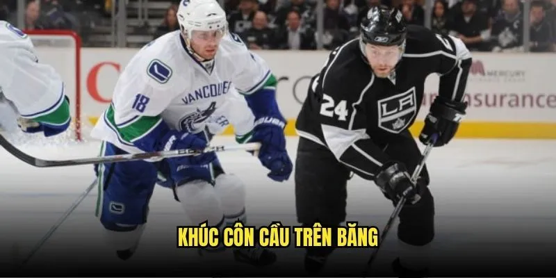 Khúc Côn Cầu Trên Băng NHL - Săn Kèo Thắng Lớn Tại Kèo Nhà Cái 1 Khúc côn cầu trên băng