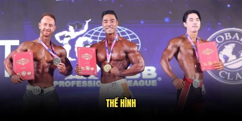 Thể Hình Chuyên Nghiệp - Khám Phá Cược Độc Đáo Với Kèo Nhà Cái 1 Thể hình