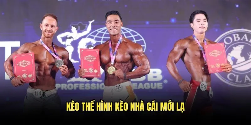 Thể Hình Chuyên Nghiệp - Khám Phá Cược Độc Đáo Với Kèo Nhà Cái 3 Kèo Thể Hình Kèo Nhà Cái Mới Lạ