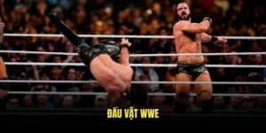 Đấu vật WWE