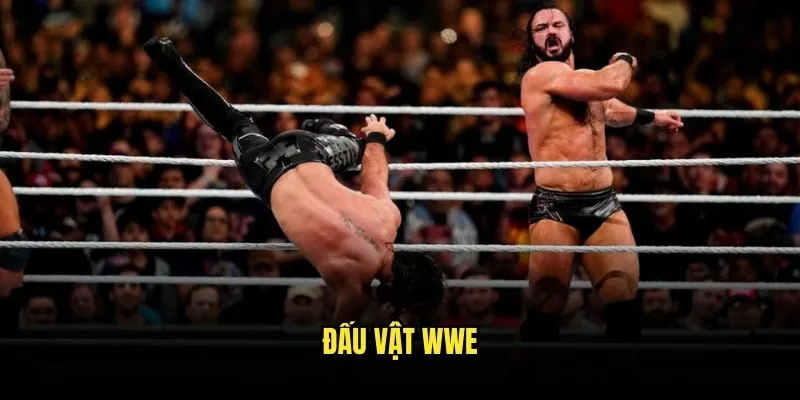 Đấu Vật WWE Giải Trí - Cược Kịch Tính Tại Kèo Nhà Cái 1 Đấu vật WWE
