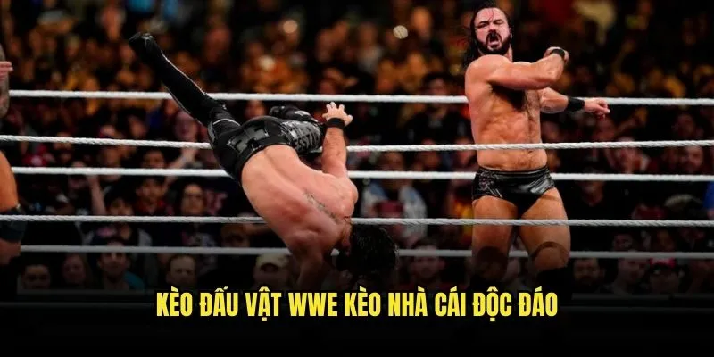 Đấu Vật WWE Giải Trí - Cược Kịch Tính Tại Kèo Nhà Cái 3 Kèo Đấu Vật WWE Kèo Nhà Cái Độc Đáo