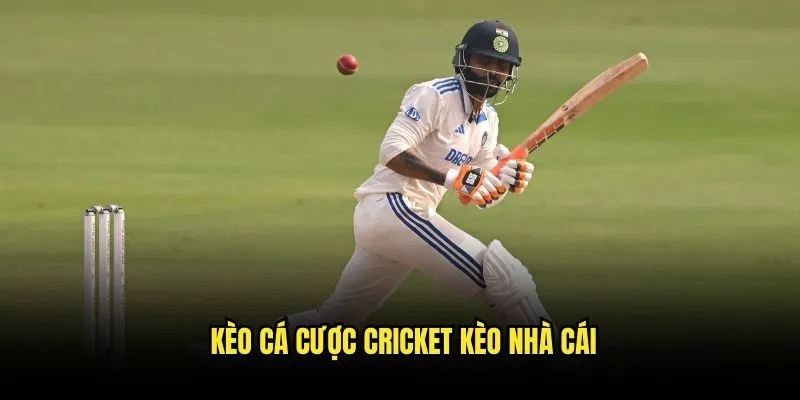 Cá Cược Cricket Quốc Tế - Cơ Hội Vàng Từ Kèo Nhà Cái 3 Kèo Cá Cược Cricket Kèo Nhà Cái