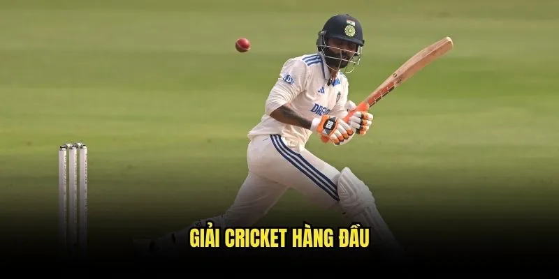 Cá Cược Cricket Quốc Tế - Cơ Hội Vàng Từ Kèo Nhà Cái 2 Giải Cricket Hàng Đầu