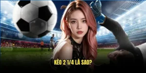 Kèo 2 1/4 là sao